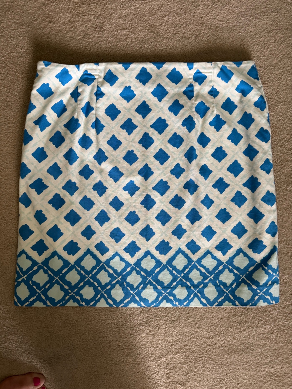 Talbots Blue and White Printed Mini Skirt